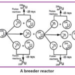 A breeder reactor