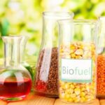 Properties of Biodiesel