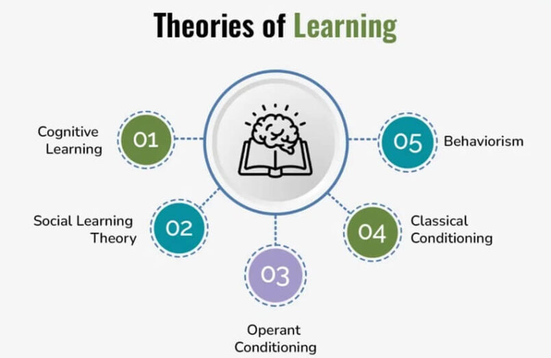 Theories of Learning