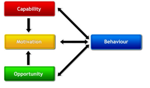 behaviour’s frame work