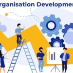 Organization Development