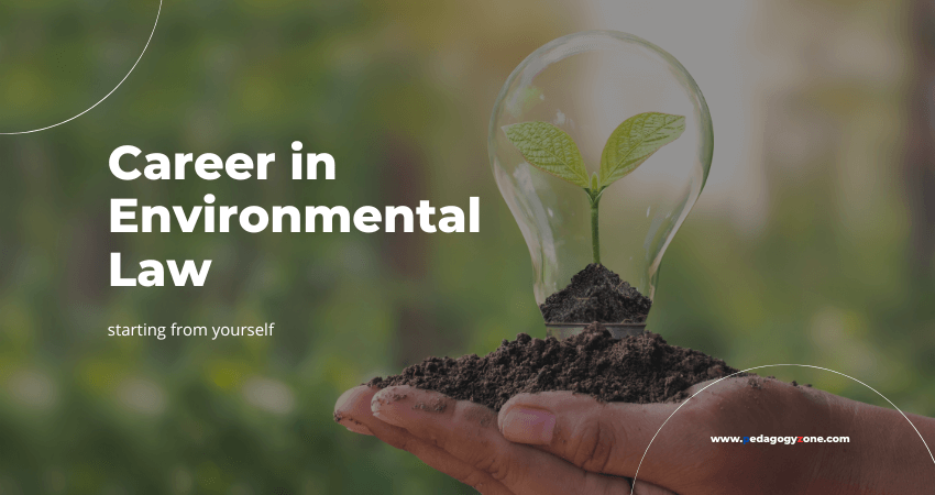 Career in Environmental Law