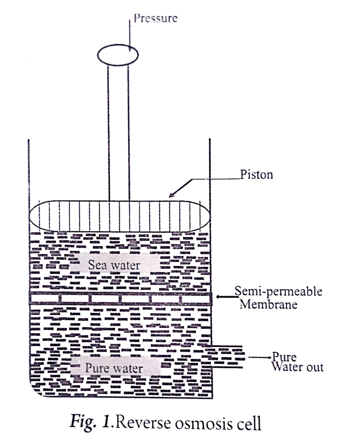 Reverse osmosis cell