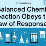 A Balanced Chemical Reaction Obeys the Law of Responses