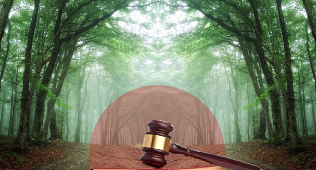 Supreme Court Strong Stand: Forest Conservation is Not Optional