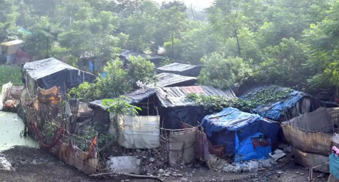 Uttarakhand High Court to the Rescue: Slum Dwellers Get a Fighting Chance