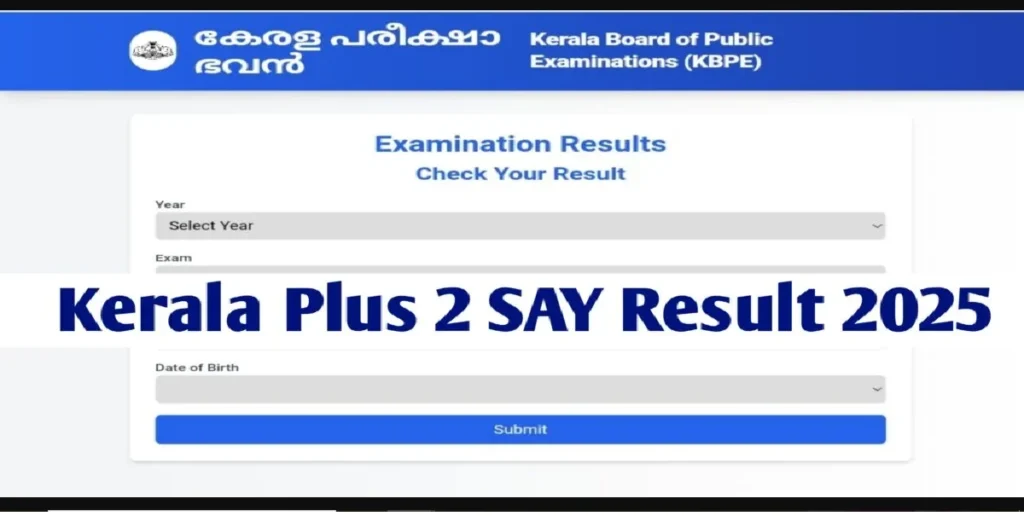 DHSE Kerala Puls Two SAY Result