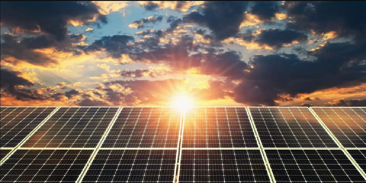 Waaree Energies Q1 Results 2025