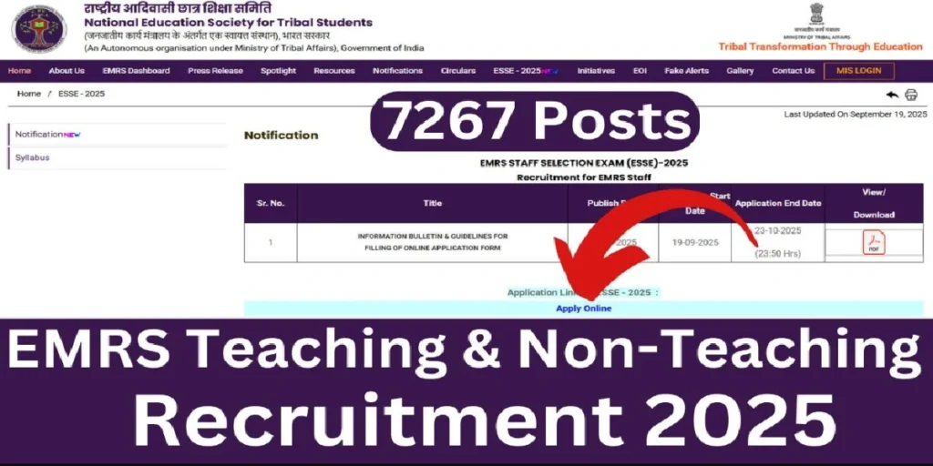 EMRS Teaching and Non-Teaching Online Form 2025