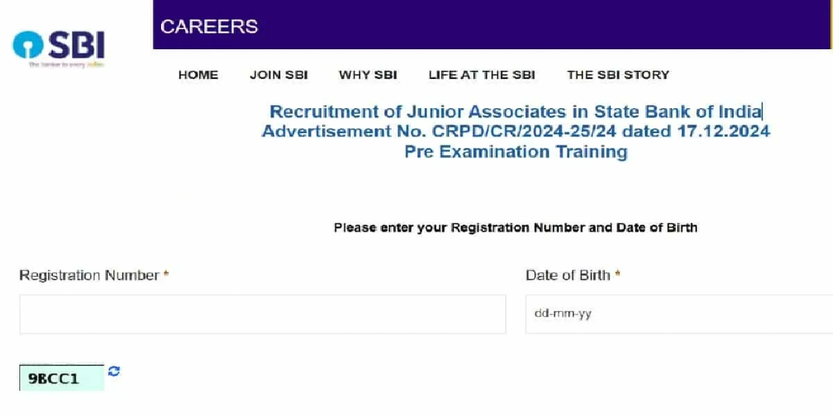 SBI Clerk Admit Card 2025