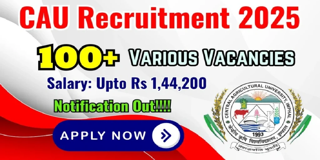 CAU Teaching Faculty Online Form 2025