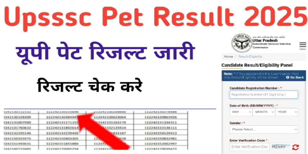 UP PET RESULT 2025
